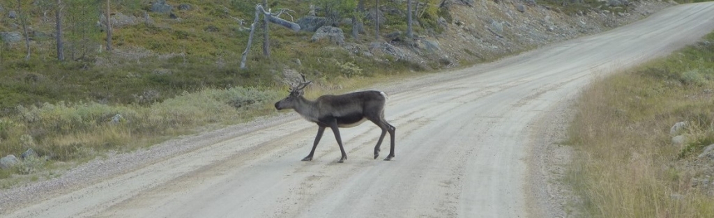 Ein Ueberblick zu Offroad-Reisen in den beliebten nordischen Laendern